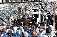祭礼用の又木鳥居はよいと担ぎ。'12.04.08.