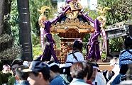 お囃子追う様に渡御してくる。'11.10.16.