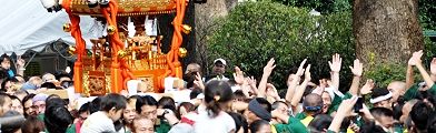 雄叫びで鼓舞し合う担ぎ手達。'11.10.23.