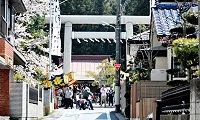 下奥多摩橋通りからの鳥居。'12.04.15.