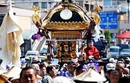 昭和通りを悠然と担がれてくる。'12.05.27.