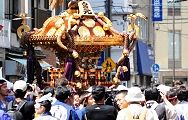 見栄えする宮元。'12.05.13.