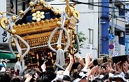 差し切れぬ阿部川。'12.06.10.