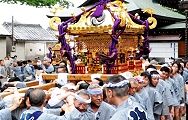 黄金色の宮神輿。'12.06.03.