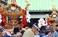 社務所前参道から鳥居へ。'12.06.24.