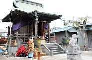 江戸川洪水対策嵩上げの八雲神社。'12.06.24.