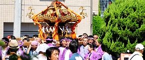 用水路跡の樹木残る静かな住宅街に掛け声響く。'12.08.26.