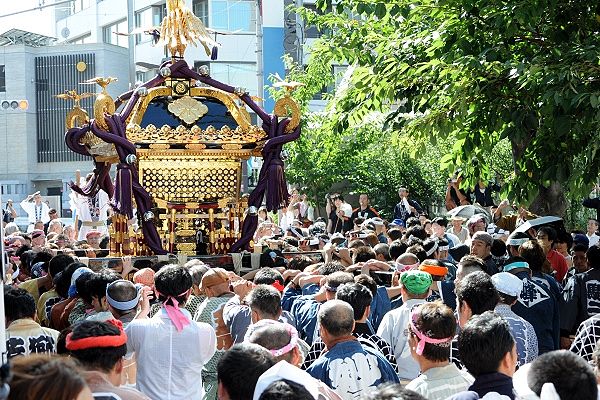 駅北口の染井吉野桜記念公園で担ぎ止め。'12.09.09.