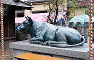 一般的には寝牛、撫で牛とも。'12.10.07.