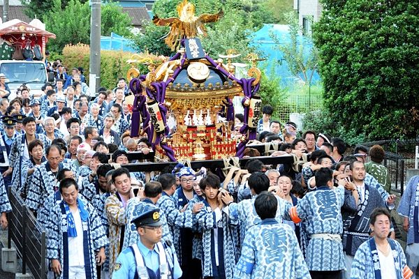 碁盤の目の農道を住宅地目指し渡御。'12.09.16.