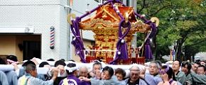 下鎌田町会の高揚した担ぎ。'12.10.14.