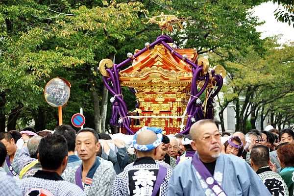 桜並木を渡御。'12.10.14.