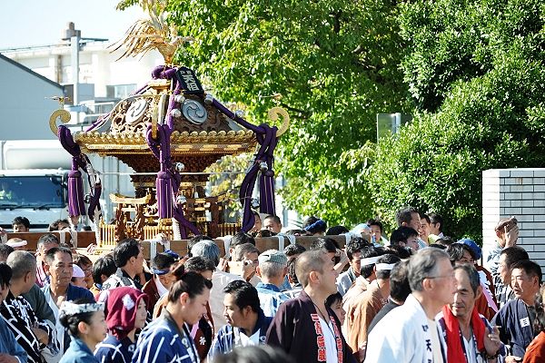 森永乳業東京工場から出る総彫神輿。'12.10.21.