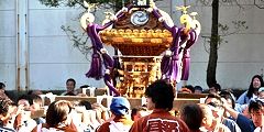 氏子顧問宅の神酒所に入り込む。'12.10.21.