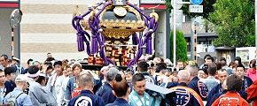 天祖神社参道不動前の担ぎ出し。'12.10.14.