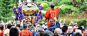 東稲荷神社お神酒所前の木。'12.10.14.