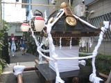 夕刻渡御する女神輿は宮神輿と同じく馬無し。07.10.07.