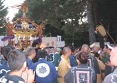 上馬東西睦神輿。07.10.21.