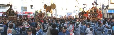 環七駒留陸橋下で集結の神輿揉みで担ぎ手達が高揚する。07.10.21.