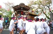 祭り本部前で待つ山車に神輿突っ込む。08.04.13.