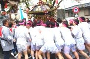 担ぎ手達に神社への宮入だと催促する。08.04.13.
