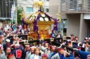 北神町会氏子は白べにで稲荷お使いの狐になる。08.05.05.