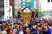 氏子の祭りだ!と宮神輿が悠然と靖国通りを渡御。08.05.05.