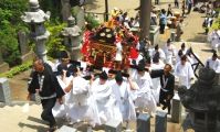神輿が祭り太鼓に送られて石段を登り始める。08.05.08.