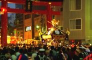宮元の宮入道中が鳥居に到着。08.05.11.