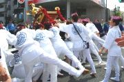女神輿も神輿振りを披露。08.06.07.