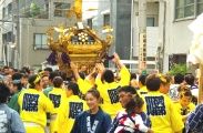 安部川の町会神輿。08.06.08.