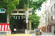 新緑に包まれた鳥越鎮守の杜。08.06.08.