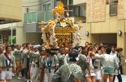 七軒町の町会神輿。08.06.08.