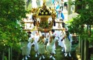 宮神輿担ぎ社殿見上げて気合入れる。08.07.13.