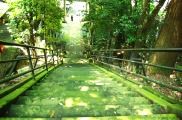 八坂神社は小高い岡の上。08.07.13.