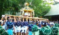 神輿沈めては差し上げる。08.08.03.