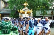 境内狭しと激しい動きで八角神輿を左右に回転させる。08.08.03.