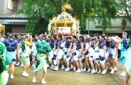 境内で存分に神輿揉みしていざ鳥居へ。大喝采。08.08.03.