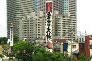 隅田川沿いに建つ大幟。08.08.02.
