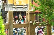 抱木の奥に佃煮の天安。08.08.02.