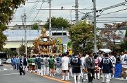 ジワリと坂道登る大神輿。'11.10.02.