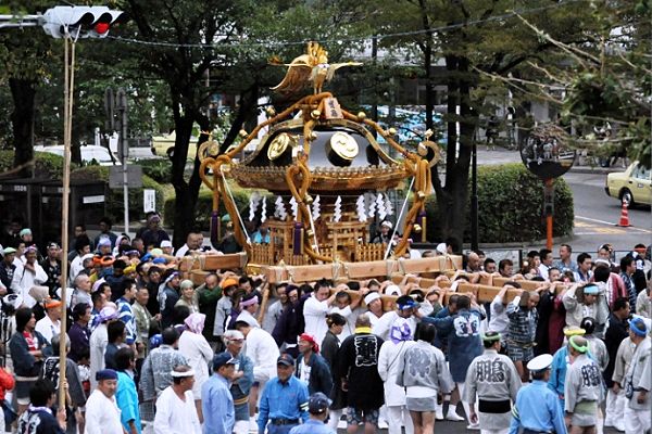大神輿が悠然と鷺沼駅前交差点を曲がりです。'11.10.02.