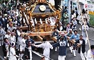小雨の桜並木を台車で移動。'11.10.02.