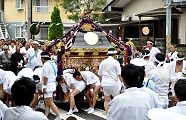 行徳担ぎのご披露。'11.10.16.