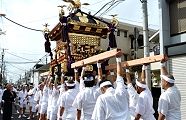 ぶれずに差し上げ。'11.10.16.