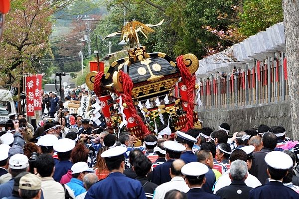 菊と桐の屋根紋の二天棒の暴れ神輿。'12.04.22.