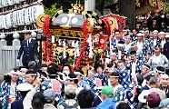 石段降りて即暴れ出す。'12.04.22.