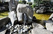 秦野駅前の湧水。'12.01.03.