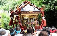 極楽寺の切通を星の井へ降りて行く。'12.07.08.