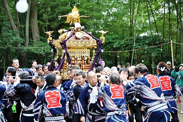 境内を激しい神輿揉み繰り返し周回。'12.11.03.